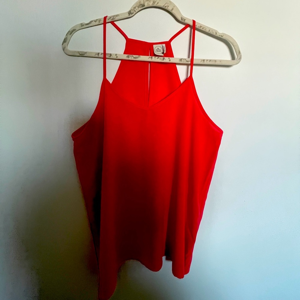 Sheer Summer Top